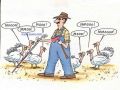 Blind Man with Chickens Funny Cartoon