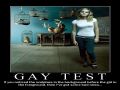 The Gay Test