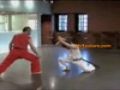 Martial Artist knocks people down with his voice.