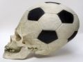 Funny picture soccer ball skull