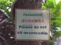 Do not sit on Crocodile