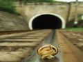 Snail on Train Track