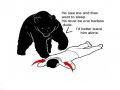 How to survive a bear attack