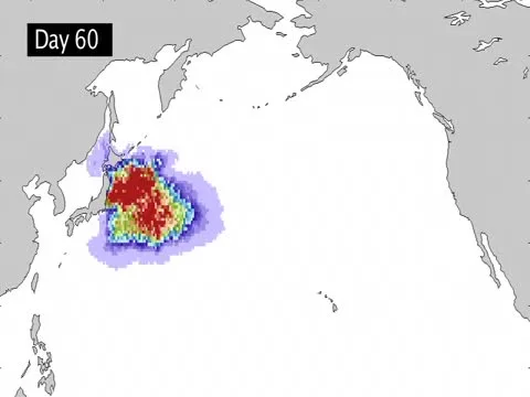 Japan Tsunami trash current video