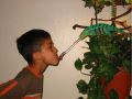 Crazy picture kid feeding a Chameleon
