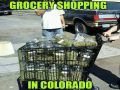 Grocery Shopping in Colorado