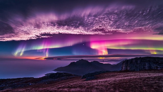 Nature Hilariously Photobombs City Skylines