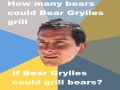 Funny Bear Grylls