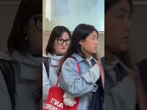 Stewardess Serves Looks and Attitude Mid-Flight