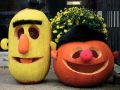 Halloween Bert and Ernie Pumpkins