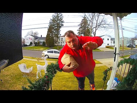 Security Cameras Expose Hilarious Human Disasters