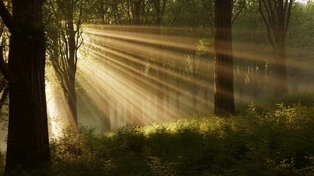 City Lights Meet Mountain Sunrise Spectacle