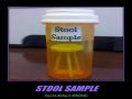 Stool sample funny picture