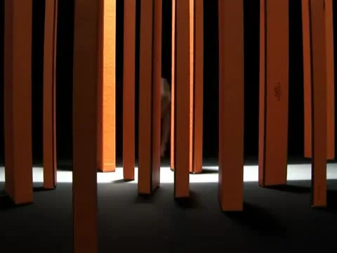 Very cool Fingerboard Video
