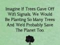 Trees that provide WiFi signal