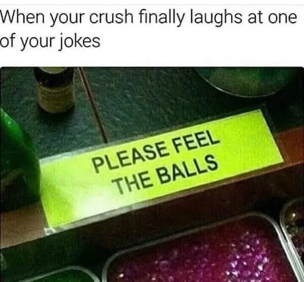 Fresh Memes Delivered to Your Eyeballs Daily