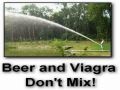 Beer and Viagra