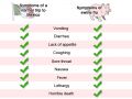Swine Flu Symptoms vs Mexico Trip