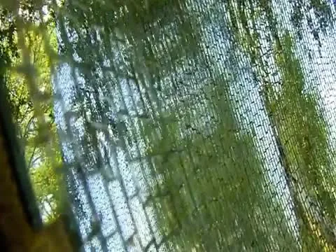 Homemade Solar Death Ray Video