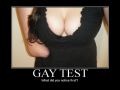 Another Gay Test picture