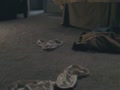 American Reunion Trailer
