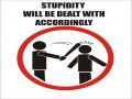 Dealing with stupidity the right way