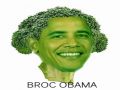 Funny Broc Obama Picture