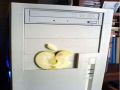 What a real Apple computer looks like