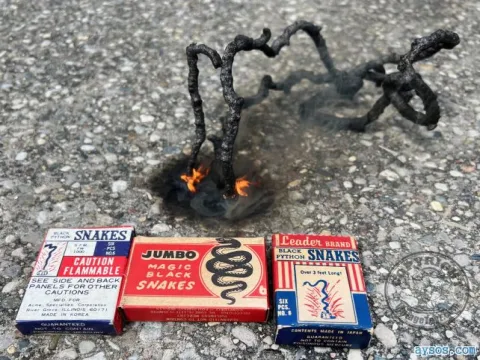 Guy Lights Fake Snake Fireworks on the Pavement