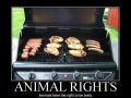 Animals Rights right to be tasty