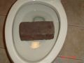 Brick shit in the Toilet