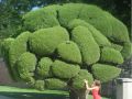 Funny picture cute girl Broccoli tree