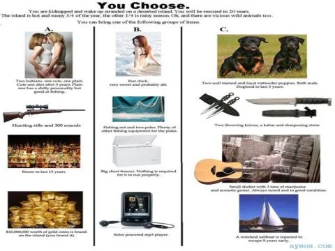 Deserted Island how would you survive