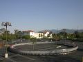 Shopping carts in a circle picture