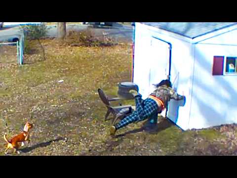 Security Cameras Expose Humanitys Dumbest Moments