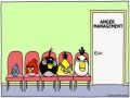 Angry Birds anger management class