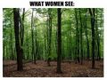 What women see vs what men see