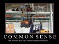 Common Sense