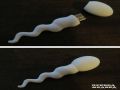 USB Sperm Drive