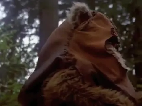 Princess Leia takes on Ace Ventura
