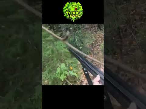 Man Refuses to Shoot Charging Mother Bear