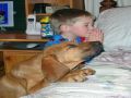 Cute Dog and Boy Praying