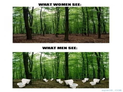 What women see vs what men see