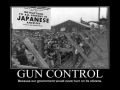 Government Gun Control
