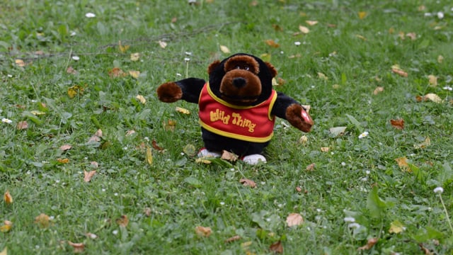 Gorilla Toy Runs Wild Without Owner Permission