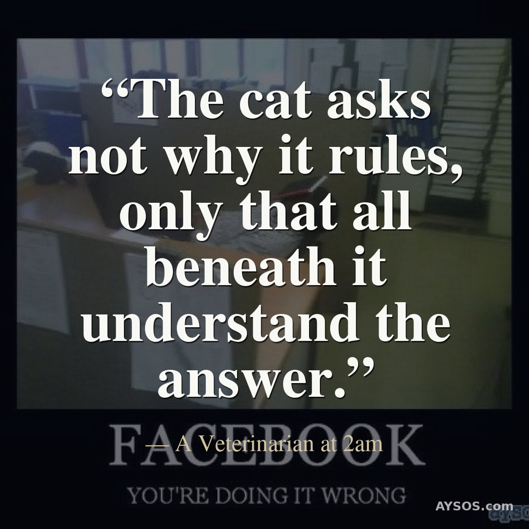 The cat asks not why it rules, only that all beneath it understand the answer.